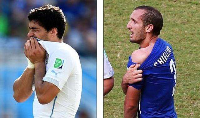 进一步观察 进一步观察